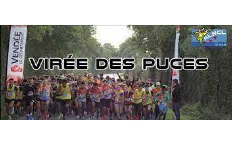 Virée des puces